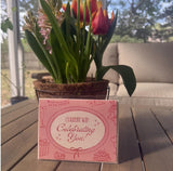 Funny Needlepoint Congratulations Card | "Current WIP: Celebrating You" | Card for Stitcher | Needlepoint Lover Greeting Card